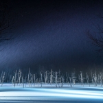 DK-Photography #082「美瑛の冬の風物詩、青池ライトアップ」(@上川郡美瑛町白金 青い池, 白ひげの滝, ほか)